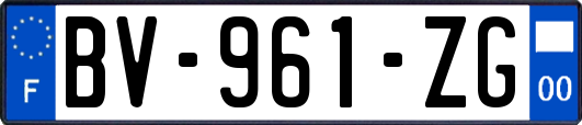 BV-961-ZG