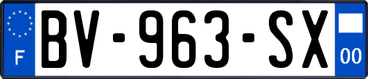 BV-963-SX