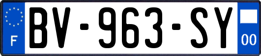 BV-963-SY