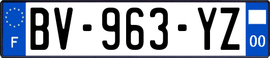 BV-963-YZ