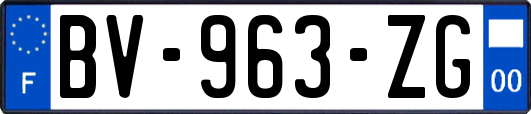 BV-963-ZG