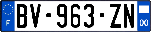 BV-963-ZN