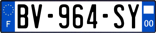 BV-964-SY