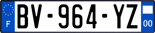 BV-964-YZ