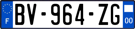 BV-964-ZG