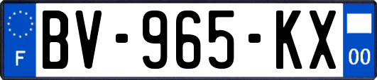 BV-965-KX