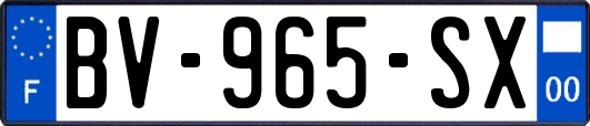 BV-965-SX