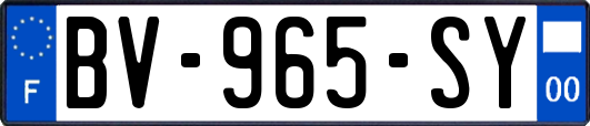 BV-965-SY