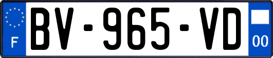 BV-965-VD