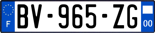 BV-965-ZG