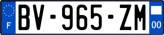 BV-965-ZM