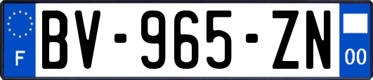 BV-965-ZN