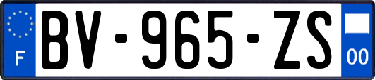 BV-965-ZS