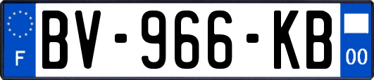 BV-966-KB