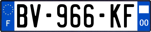 BV-966-KF