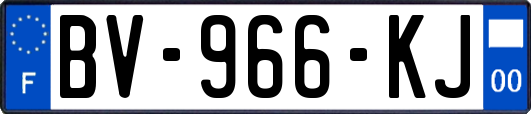 BV-966-KJ