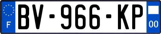BV-966-KP