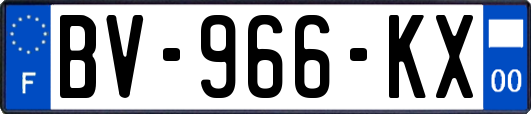 BV-966-KX