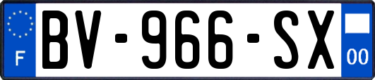 BV-966-SX