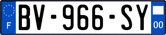 BV-966-SY