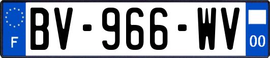 BV-966-WV