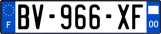 BV-966-XF
