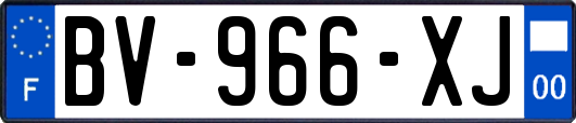 BV-966-XJ