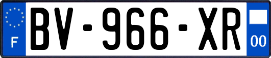 BV-966-XR