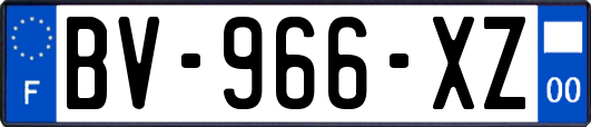 BV-966-XZ