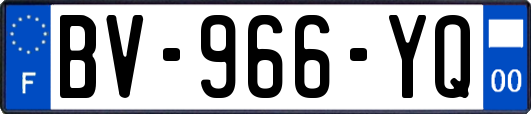 BV-966-YQ