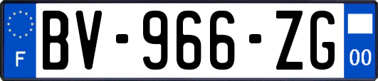 BV-966-ZG