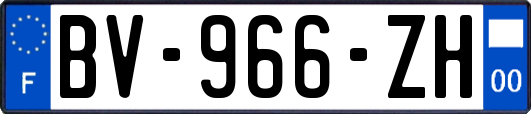 BV-966-ZH