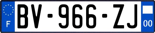 BV-966-ZJ