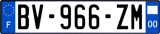 BV-966-ZM