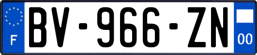 BV-966-ZN