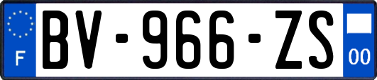 BV-966-ZS