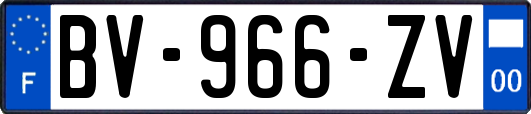 BV-966-ZV