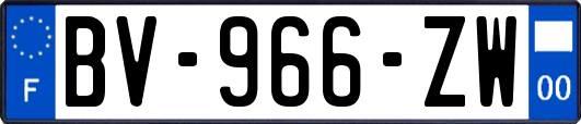 BV-966-ZW