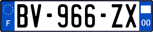 BV-966-ZX