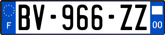 BV-966-ZZ