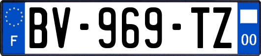 BV-969-TZ