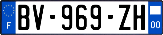 BV-969-ZH