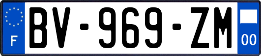 BV-969-ZM