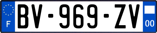 BV-969-ZV