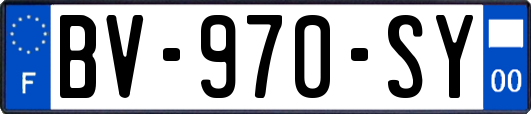 BV-970-SY