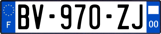 BV-970-ZJ