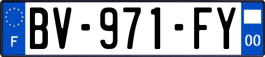 BV-971-FY