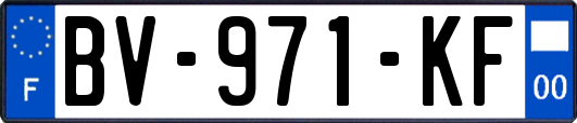 BV-971-KF