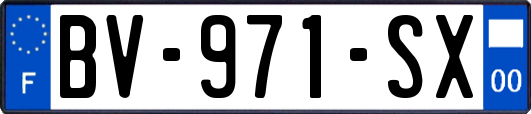 BV-971-SX