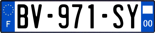 BV-971-SY